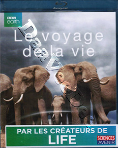 Life Story (Blu-Ray)